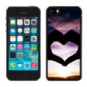 Valentine Sweet Love iPhone 5C Cases CSS