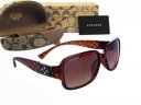 Coach Sunglasses 8023