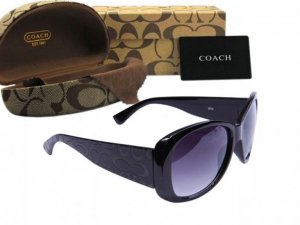 Coach Sunglasses 8006