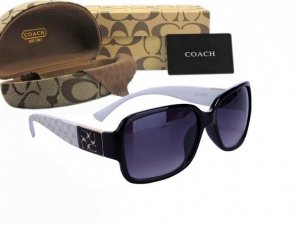 Coach Sunglasses 8003