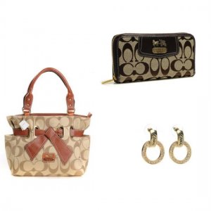 Coach Only $109 Value Spree 17 DDD