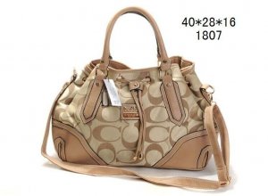 Coach Buckle In Signature Large Ivory Hobo ENB