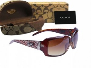 Coach Sunglasses 8011