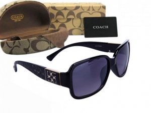 Coach Sunglasses 8002