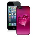 Valentine Love Shine iPhone 5 5S Cases CCG