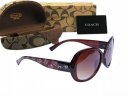 Coach Sunglasses 8013