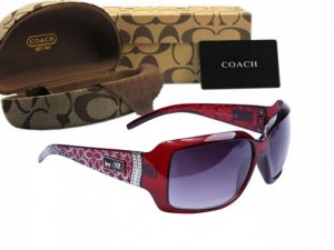 Coach Sunglasses 8010
