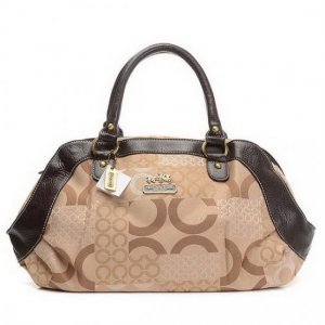 Coach Fashion Logo Signature Small Khaki Totes EHA