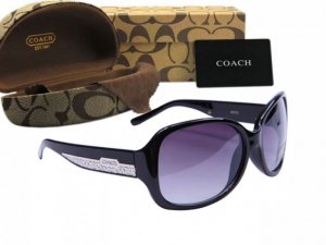 Coach Sunglasses 8018