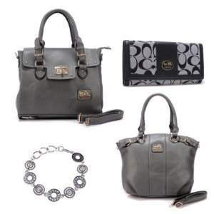 Coach Only $169 Value Spree 15 EFM